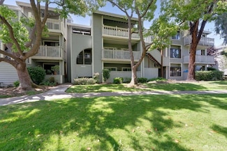 3685 Nutwood Terrace Unit 313, Fremont, CA 94536