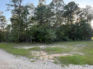 1.3 Ac Burnt Pine Rd, Leakesville, MS 39451