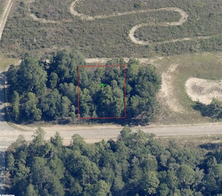 2363 W Wilmington Loop, Pine Ridge, FL 34434