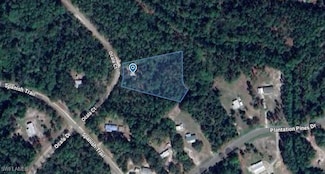 204 Ocala Ct, Georgetown, FL 32139