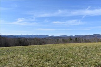 0000 Dancy Hollow Dr, Traphill, NC 28685