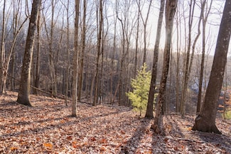 0 Addison Patch Rd Unit LotWP001 22650260, Hot Springs, VA 24445