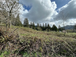 0 Tl102 Sollie Smith Rd, Tillamook, OR 97141