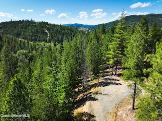 46894 Silver Valley Rd, Smelterville, ID 83868