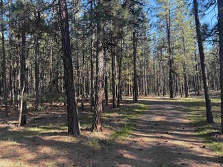 25XXX W Long Lake Rd, Ford, WA 99013