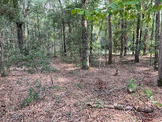 0 Old Salkehatchie Rd, Yemassee, SC 29945