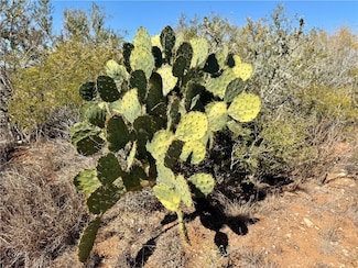 0 County Road 203 Unit 468366, San Diego, TX 78384