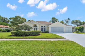 4590 Secretariat Run, Spring Hill, FL 34609