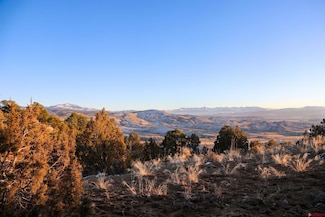 TBD Tract 7 Bostwick Park Rd, Montrose, CO 81401