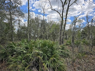 00 NE 115th Ave, Williston, FL 32696