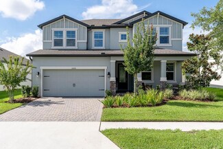 11876 Gavin Ln, Odessa, FL 33556