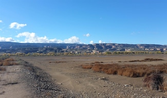 1165 15 Rd, Loma, CO 81524