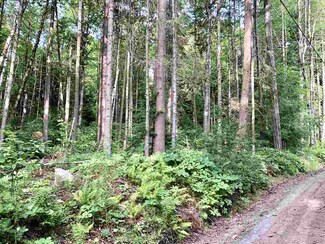 0 Round Pond Ln Unit 4710205, Newbury, VT 05051