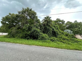 632 N Rooks Ave, Inverness Highlands North, FL 34453