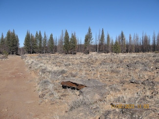 0 Lot 16n Shasta Fir Way, Bly, OR 97622