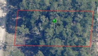 9861 N Baldwin Terrace, Citrus Springs, FL 34434