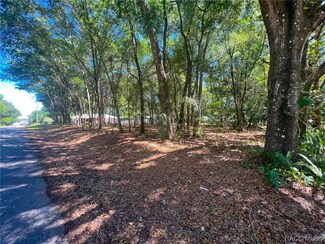 3958 E Byrd St, Inverness, FL 34453