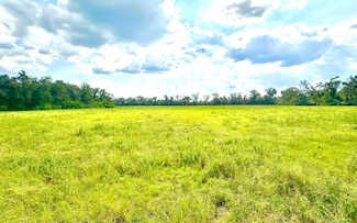 TBD-2 Us Highway 27, Mayo, FL 32066