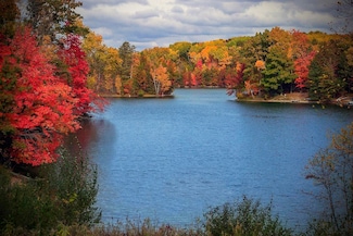 11490 Alpine Rd Unit 43, Canadian Lakes, MI 49346