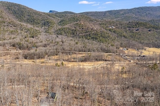000 Blue Ridge Dr N Unit 164, Marion, NC 28752