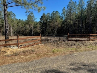 0 Sauls and James Ratcliff Rd, Tylertown, MS 39667