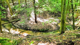 8.5 ACRES, 3rd St, Onekama, MI 49675