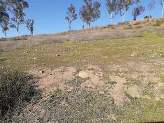0 Lake View Dr Unit SW25136914, Lake Elsinore, CA 92530