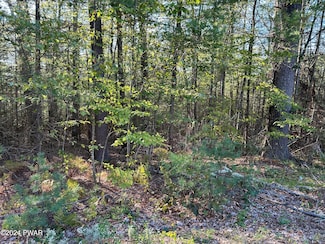 Lot 5 Delaware Crest Dr, Delaware Township, PA 18328