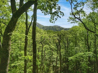 Lot 45 Amy Creek Dr, Ellijay, GA 30540