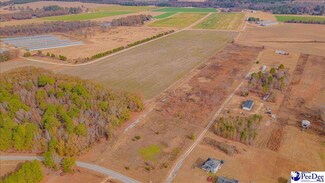 TBD Lulaways Ct Lot 4, Lamar, SC 29069