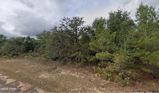 Lot 3 Kapok Ave Unit 11 Blk 752, Chipley, FL 32428