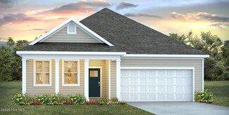 237 Red Vineyard Way Unit Lot 30, Jacksonville, NC 28546