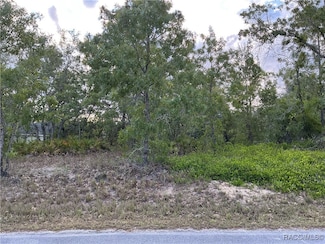 21 Smilax Ct N, Sugarmill Woods, FL 34446