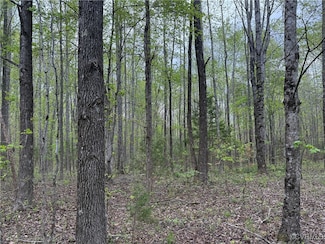 0 S Constitution Route Unit 2513379, Dillwyn, VA 23936