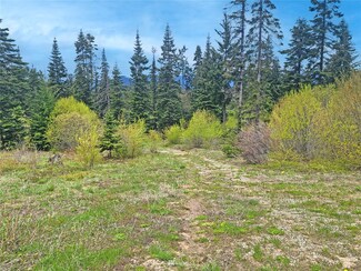 0 XXX Huntrick Dr, Cle Elum, WA 98922