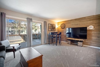 933 Straight Creek Dr Unit 101, Dillon, CO 80435