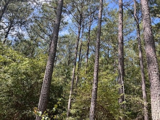0 Charlie Reeves Rd Unit 21882758, Roberta, GA 31078