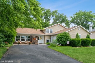 740 White Birch Ln, Lake Zurich, IL 60047