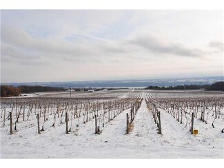 3396 Route 14, Himrod, NY 14842