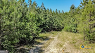 0 Allmon Rd Unit 10319216, Butler, GA 31006