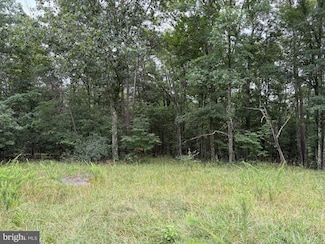 9.31 AC Pine Tree Dr, Bloomery, WV 26817