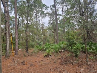 0 NW 59th Place, Chiefland, FL 32626