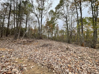 0 Highway 100, Centerville, TN 37033