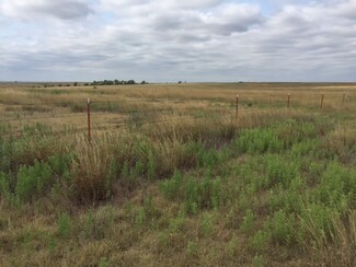 160 Acres S14-T22n-r26, Shattuck, OK 73858