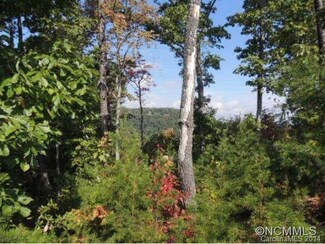Lot 221 Brighton Dr, Bostic, NC 28018