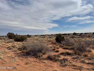 24 E 24th St N, Snowflake, AZ 85937