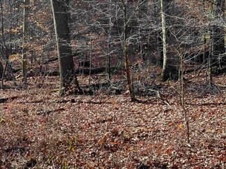 TBD Tappan Rd, Bridgeport, WV 26330