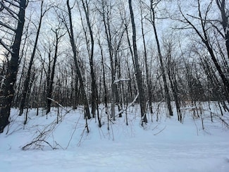 990-994 Arawak Pass, Bagley Township, MI 49735