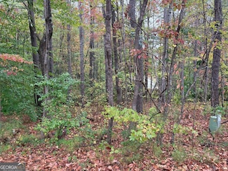 2313 Larchmont Ct, Villa Rica, GA 30180