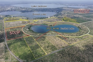 1115 Basket Lake Rd, Avon Park, FL 33825